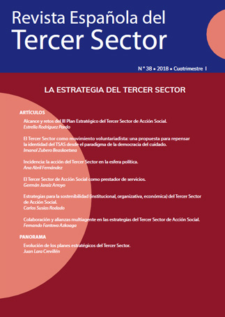 The Spanish Journal of the Third Sector
